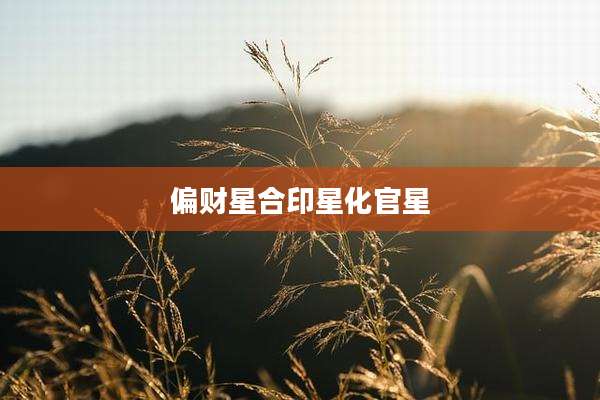 偏财星合印星化官星