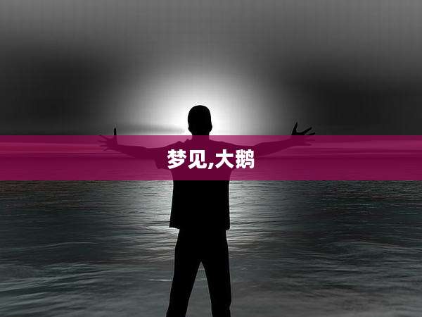 梦见,大鹅
