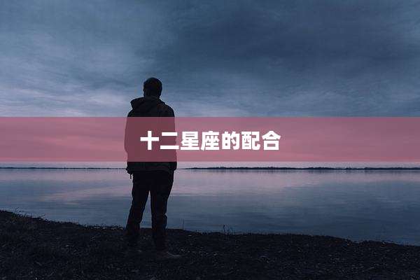 十二星座的配合