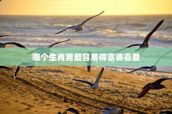 哪个生肖男最容易得富婆喜爱