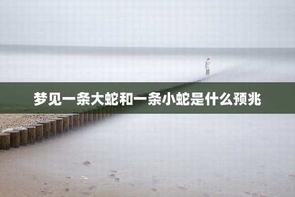 梦见一条大蛇和一条小蛇是什么预兆