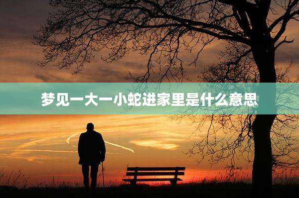 梦见一大一小蛇进家里是什么意思