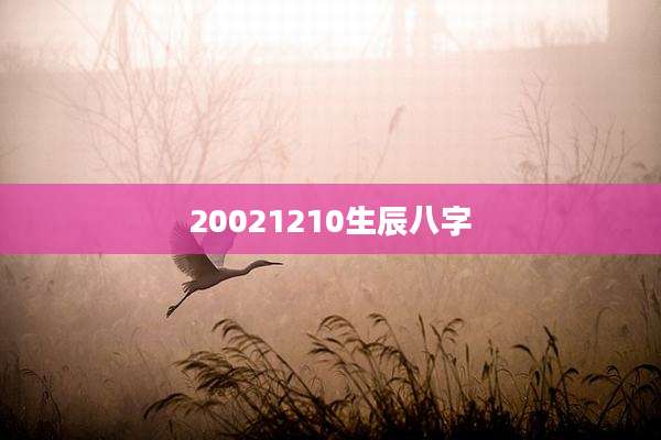 20021210生辰八字