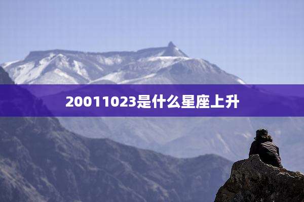 20011023是什么星座上升