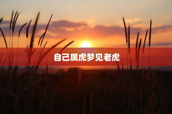 自己属虎梦见老虎