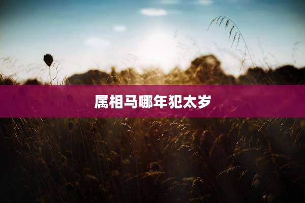 属相马哪年犯太岁