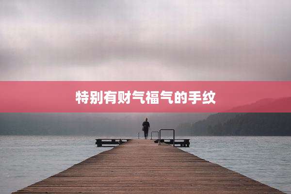 特别有财气福气的手纹