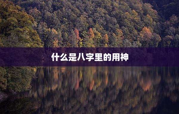 什么是八字里的用神