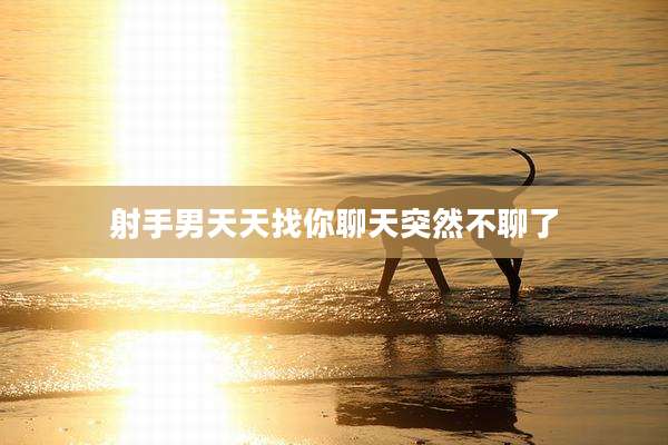 射手男天天找你聊天突然不聊了