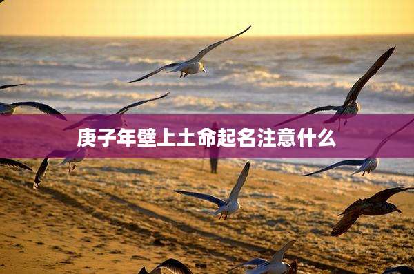 庚子年壁上土命起名注意什么