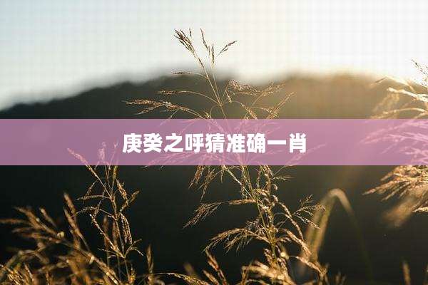 庚癸之呼猜准确一肖