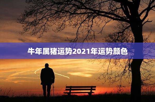 牛年属猪运势2021年运势颜色