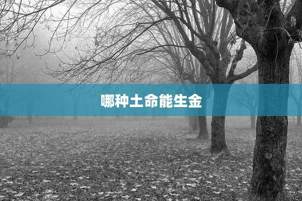 哪种土命能生金