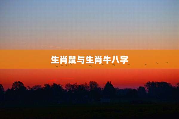 生肖鼠与生肖牛八字
