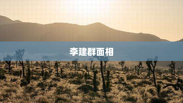 李建群面相