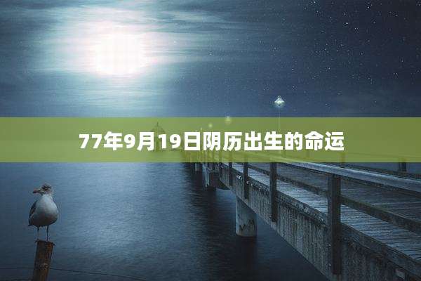 77年9月19日阴历出生的命运