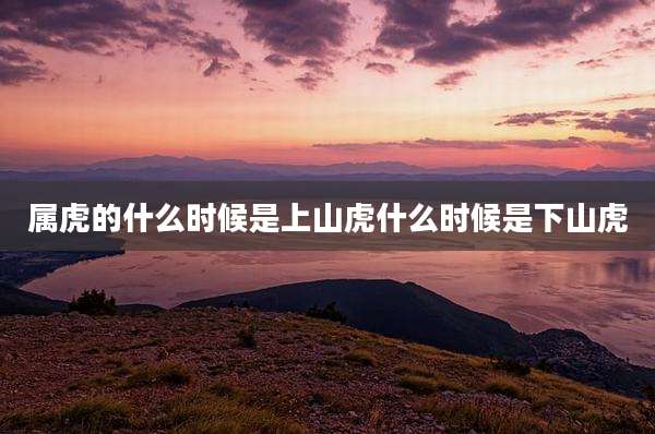 属虎的什么时候是上山虎什么时候是下山虎