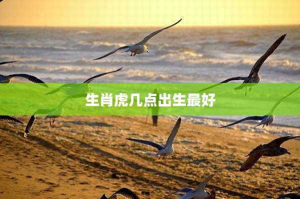 生肖虎几点出生最好