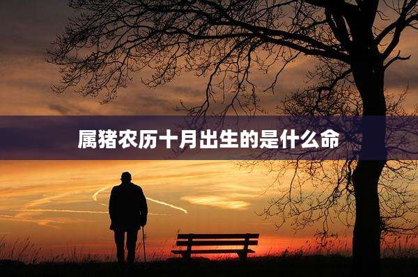 属猪农历十月出生的是什么命