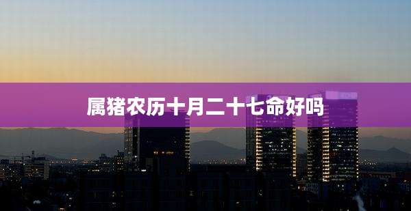 属猪农历十月二十七命好吗