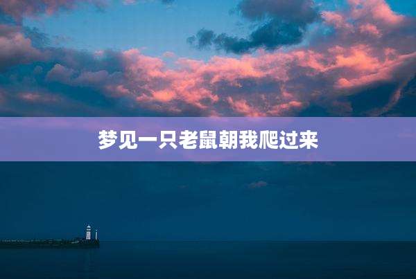 梦见一只老鼠朝我爬过来