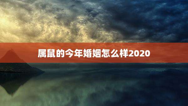 属鼠的今年婚姻怎么样2020