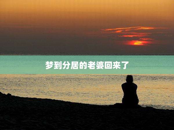 梦到分居的老婆回来了