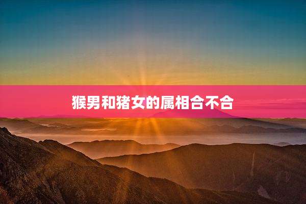 猴男和猪女的属相合不合