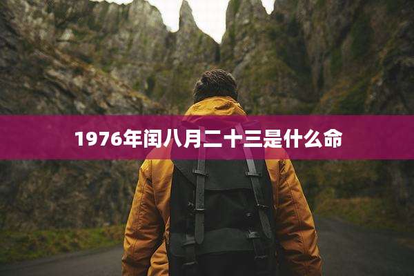 1976年闰八月二十三是什么命