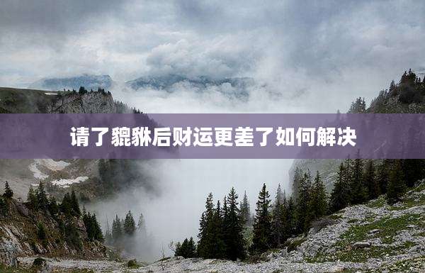 请了貔貅后财运更差了如何解决