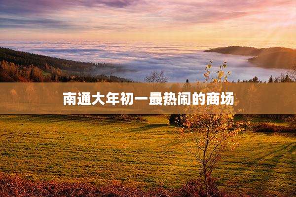南通大年初一最热闹的商场
