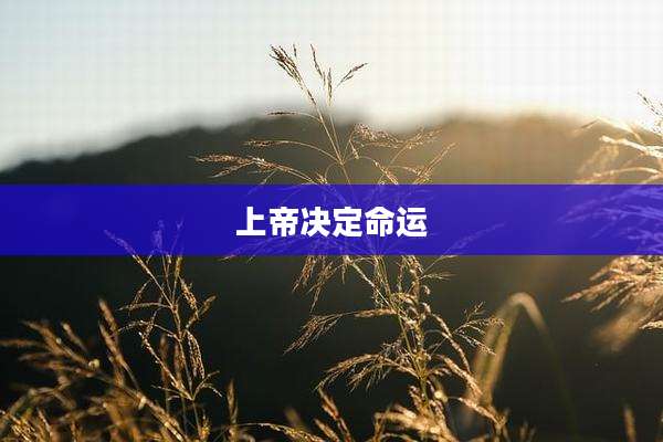 上帝决定命运