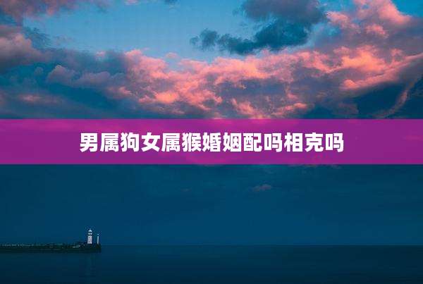 男属狗女属猴婚姻配吗相克吗