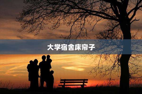 大学宿舍床帘子