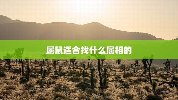 属鼠适合找什么属相的