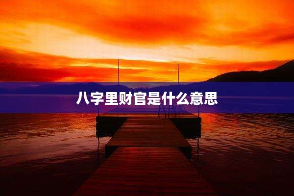 八字里财官是什么意思