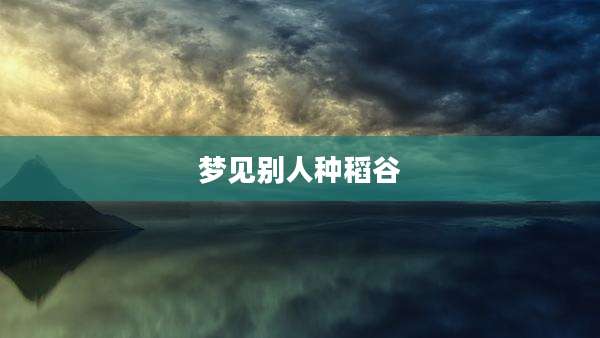 梦见别人种稻谷