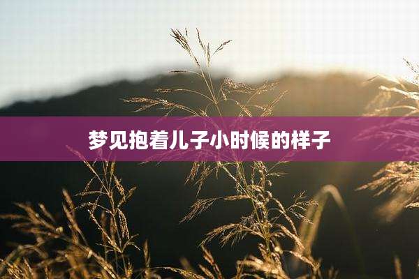梦见抱着儿子小时候的样子