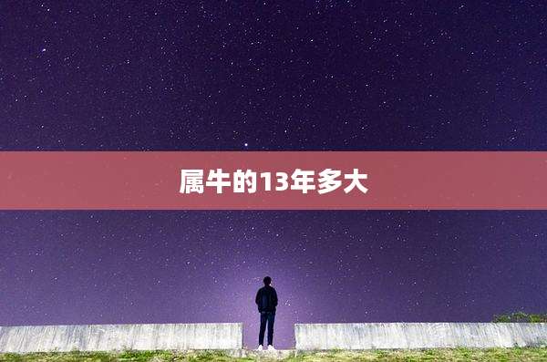 属牛的13年多大