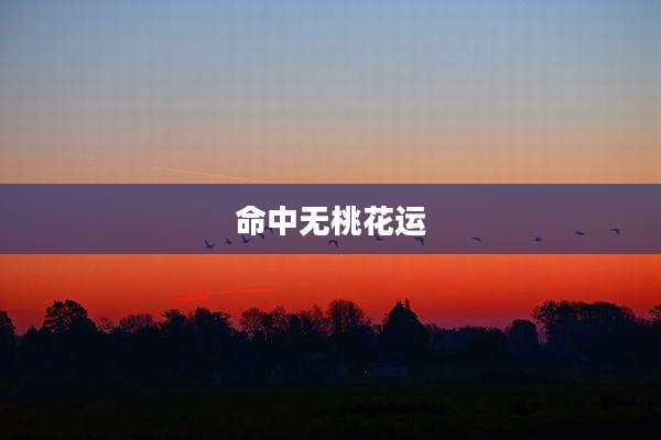 命中无桃花运