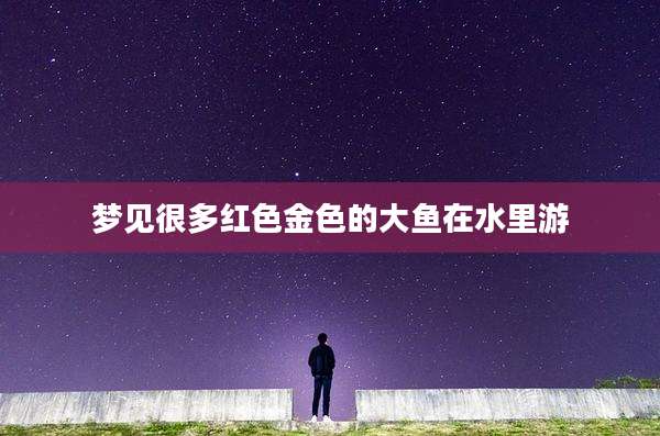 梦见很多红色金色的大鱼在水里游
