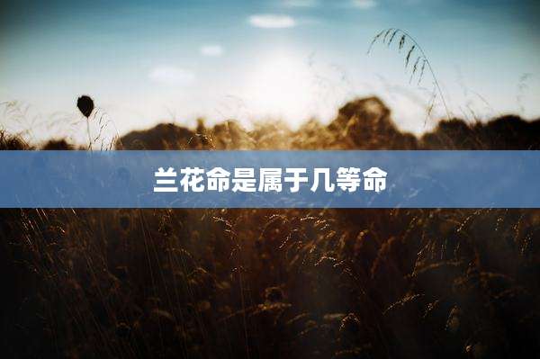 兰花命是属于几等命