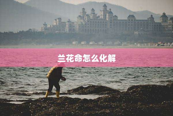 兰花命怎么化解