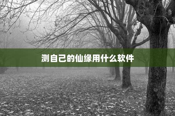 测自己的仙缘用什么软件