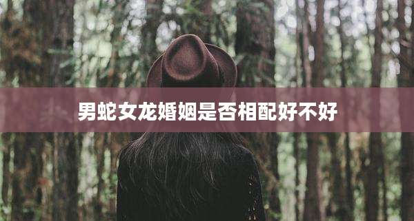 男蛇女龙婚姻是否相配好不好