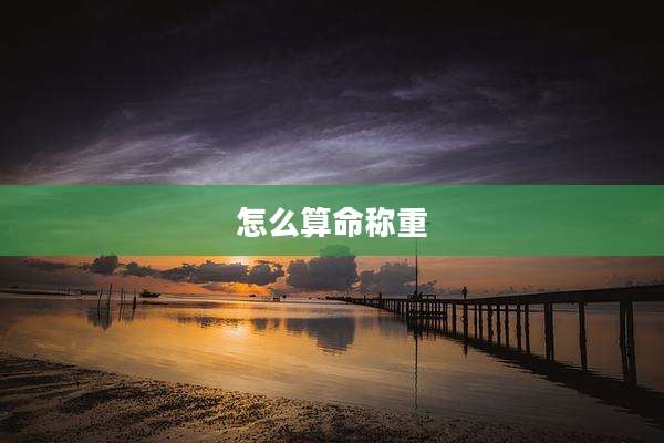 怎么算命称重