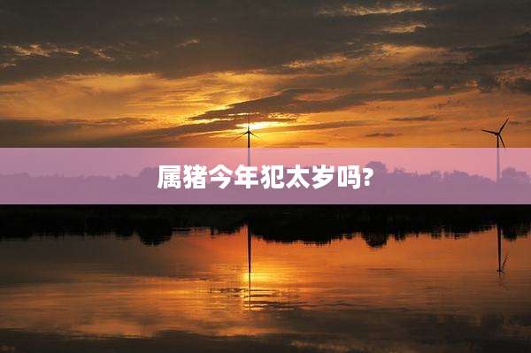 属猪今年犯太岁吗?