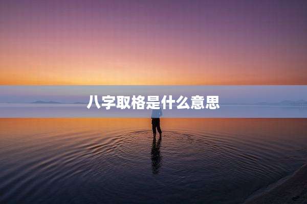 八字取格是什么意思