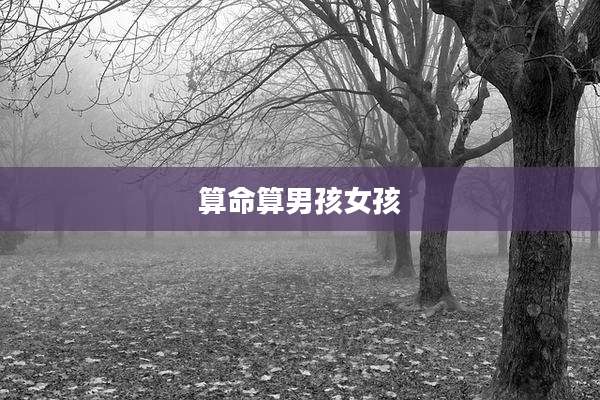 算命算男孩女孩