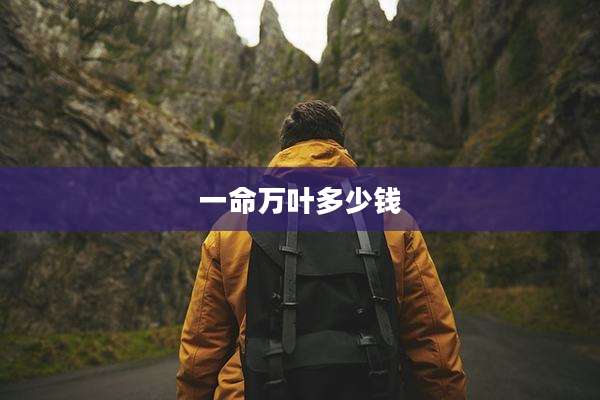 一命万叶多少钱
